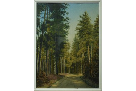 Баярс А., Сосновый лес, бумага, акварель, 50.5x37 см