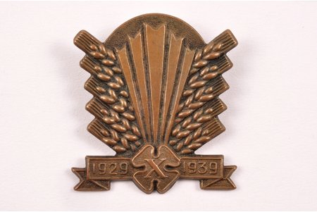 badge, "Mazpulki", 10th anniversary, 1929-1939, 20-30ies of 20th cent., 27.5 x 25.2 mm