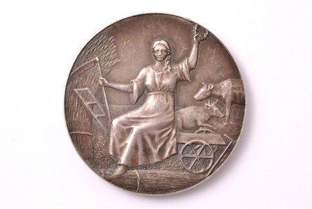 настольная медаль, Арашъ-Венденское сельскохозяйственное общество, серебро, Российская Империя, Ø 44.5 мм, 39.90 г