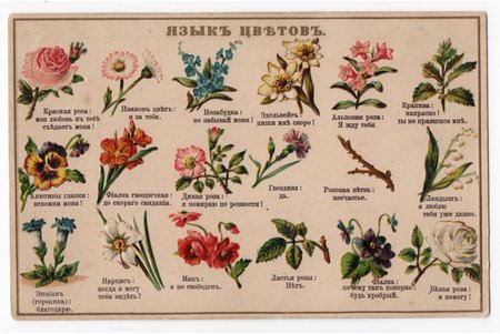 postcard, Russia, beginning of 20th cent., 14x9 cm
